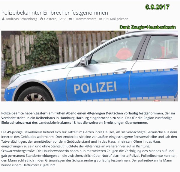 Polizeierfolge 2017