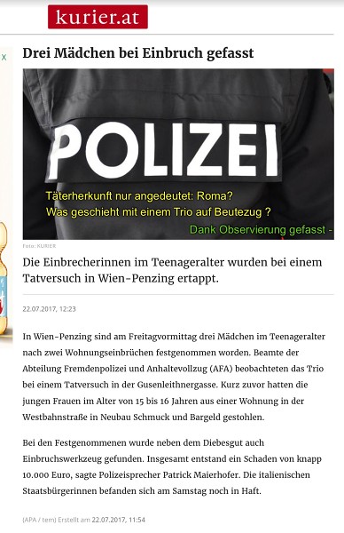 Polizeierfolge 2017