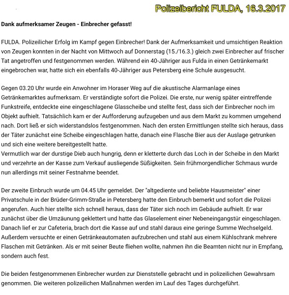Polizeierfolge 2017