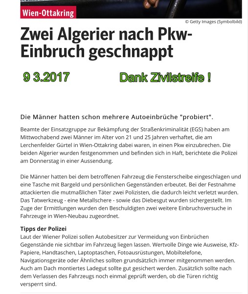 Polizeierfolge 2017