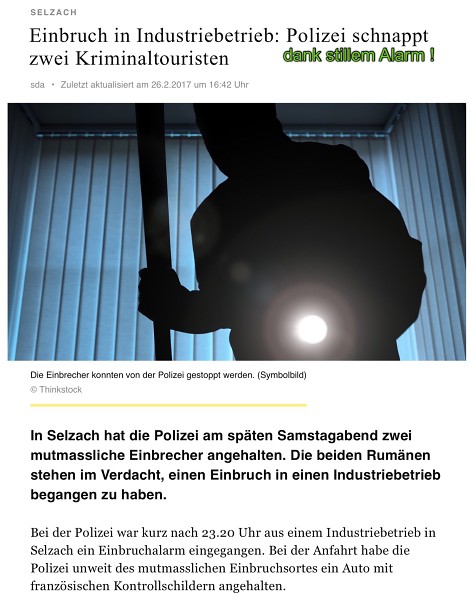 Polizeierfolge 2017