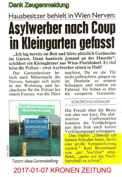 Polizeierfolge 2017